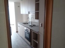 1 Habitación Departamento en alquiler en San Jode de Maipo, Cordillera, San Jode de Maipo