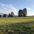  Terreno (Parcela) en venta en Araucanía, Villarrica, Cautín, Araucanía