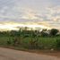  Land for sale in El Salvador City, Northern Mindanao, El Salvador City, Misamis Oriental, Northern Mindanao