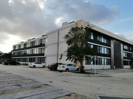 Condominium 2 chambre à louer à Merida, Yucatan, Merida, Yucatan