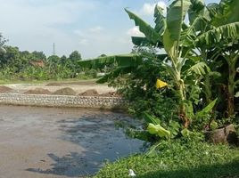  Tanah for sale in Bantul, Yogyakarta, Plered, Bantul