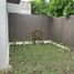 3 Habitación Villa en venta en Kalasan, Yogyakarta, Kalasan, Sleman