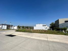 Terrain à vendre à Zapopan, Jalisco, Zapopan, Jalisco