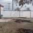  Grundstück zu verkaufen in General Zuazua, Nuevo Leon, General Zuazua
