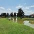  Land for sale in Tarimbaro, Michoacan, Tarimbaro