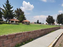  Land for sale in Tarimbaro, Michoacan, Tarimbaro