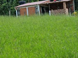  Terreno (Parcela) en venta en Chinacota, Norte De Santander, Chinacota