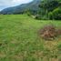  Terreno (Parcela) en venta en Chinacota, Norte De Santander, Chinacota