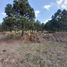 Land for sale in Pachuca De Soto, Hidalgo, Pachuca De Soto