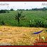  Land for sale in Kerambitan, Tabanan, Kerambitan