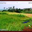  Land for sale in Kerambitan, Tabanan, Kerambitan