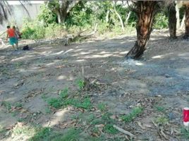  Grundstück zu verkaufen in Alvarado, Veracruz, Alvarado, Veracruz