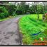  Land for sale in Selemadeg, Tabanan, Selemadeg