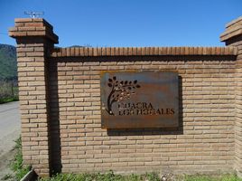  Land for sale in Chile, Buin, Maipo, Santiago, Chile