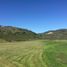  Land for sale in Chile, Curico, Curico, Maule, Chile