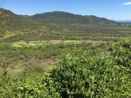 Land for sale in Chile, Curico, Curico, Maule, Chile