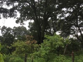  Grundstück zu verkaufen in Huitzilac, Morelos, Huitzilac