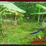  Land for sale in Selemadeg, Tabanan, Selemadeg