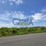  Terreno (Parcela) en venta en Tantima, Veracruz, Tantima