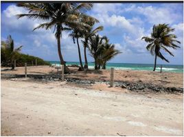 Grundstück zu verkaufen in Othon P Blanco, Quintana Roo, Othon P Blanco