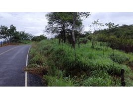 Studio Villa for sale in Nata, Cocle, Nata, Nata