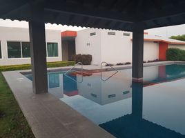  Land for sale in Colima, Colima, Colima, Colima