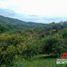 Studio Villa zu verkaufen in Anserma, Caldas, Anserma