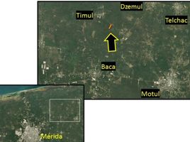  Terreno (Parcela) en venta en Motul, Yucatán, Motul