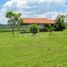  Land for sale in El Salto, Jalisco, El Salto