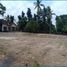  Land for sale in Prambanan, Klaten, Prambanan