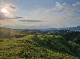  Land for sale in Pereira, Risaralda, Pereira