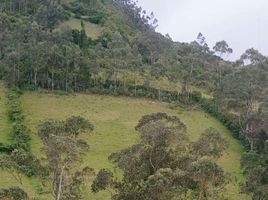  Terrain for sale in San Miguel De Ibarra, Ibarra, San Miguel De Ibarra