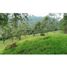  Land for sale in Fredonia, Antioquia, Fredonia