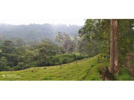  Land for sale in Fredonia, Antioquia, Fredonia