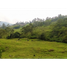  Land for sale in Fredonia, Antioquia, Fredonia