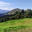 Terrain à vendre à Envigado, Antioquia, Envigado