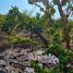 Land for sale in Chile, Lampa, Chacabuco, Santiago, Chile