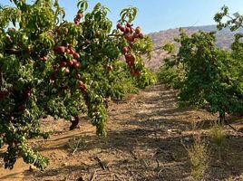  Land for sale in Chile, Lampa, Chacabuco, Santiago, Chile