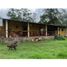 Studio Villa zu verkaufen in Pacho, Cundinamarca, Pacho