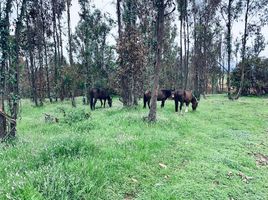  Land for sale in Valparaiso, Vina Del Mar, Valparaiso, Valparaiso