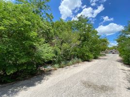  Land for sale in Merida, Yucatan, Merida, Yucatan