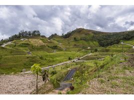  Terreno (Parcela) en venta en La Ceja, Antioquia, La Ceja