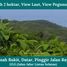  Land for sale in Yogyakarta, Tepus, Gunung Kidul, Yogyakarta