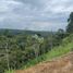  Land for sale in Pereira, Risaralda, Pereira