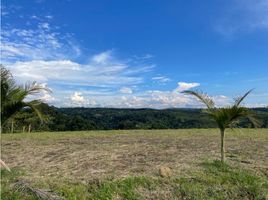  Land for sale in Pereira, Risaralda, Pereira