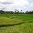  Tanah for sale in Tampak Siring, Gianyar, Tampak Siring