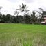  Tanah for sale in Tampak Siring, Gianyar, Tampak Siring