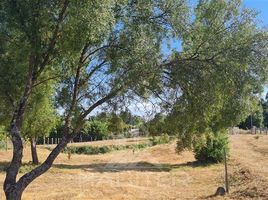  Land for sale in Chile, Los Angeles, Biobío, Biobío, Chile