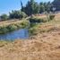  Land for sale in Chile, Los Angeles, Biobío, Biobío, Chile