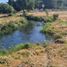  Land for sale in Chile, Los Angeles, Biobío, Biobío, Chile